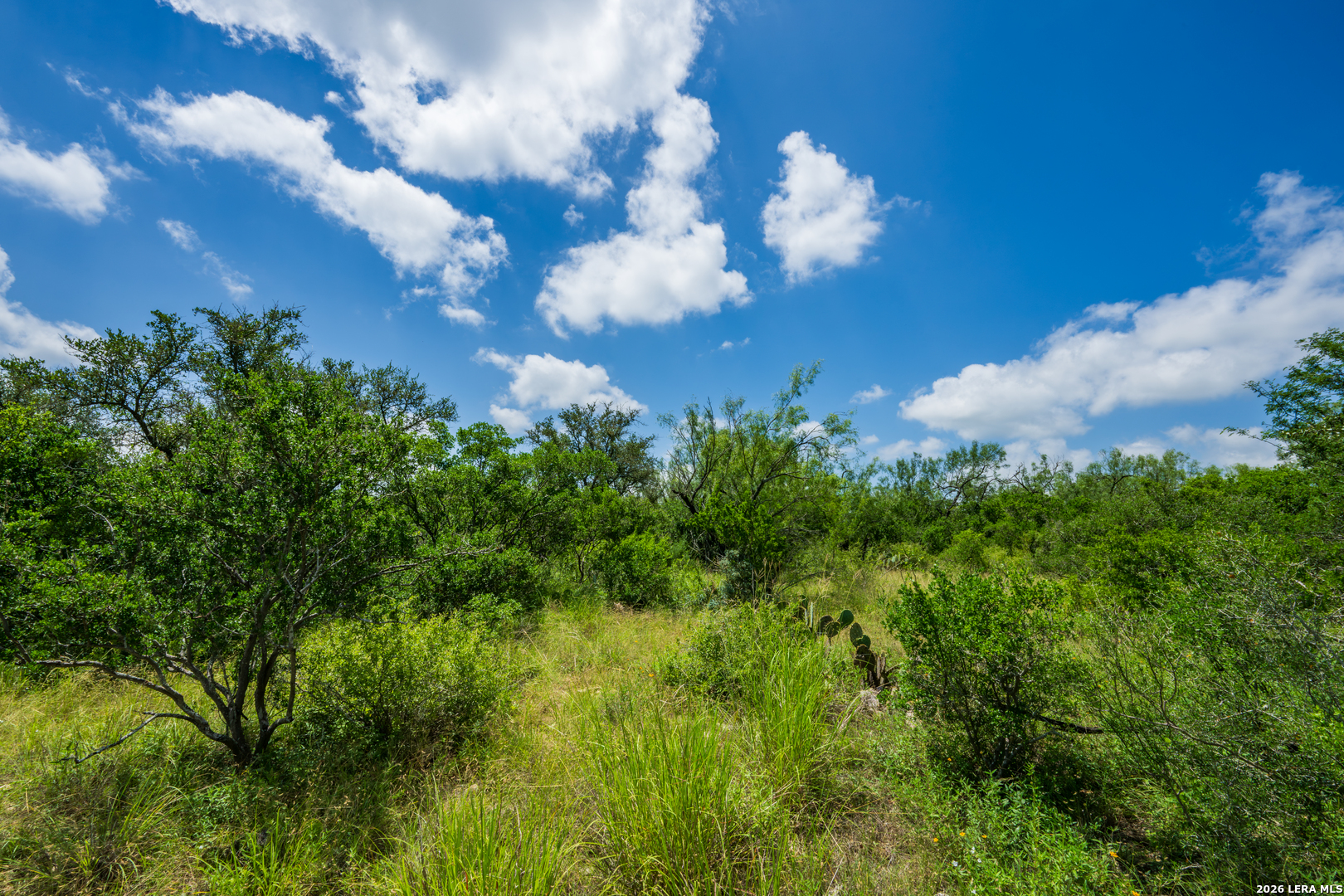 0 Miller Road Uvalde, TX 78801 - Photo 30 of 41