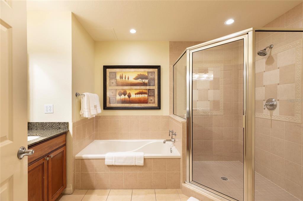 7612 Sandy Ridge Drive, Unit 303 Reunion, FL 34747 - Photo 9 of 16 Gallery Image 9