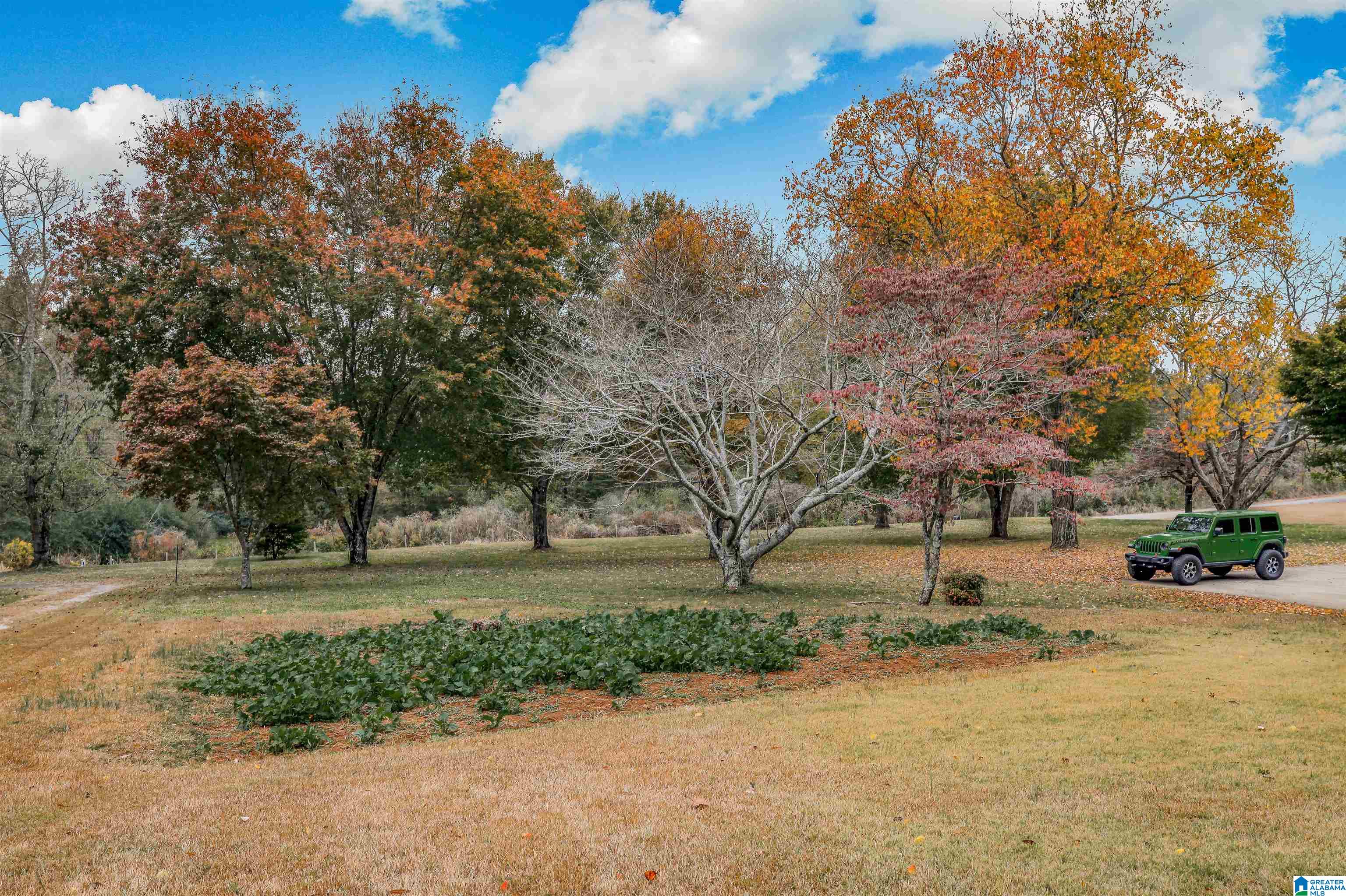 7373 Lake In The Woods Road Trussville, AL 35173 - Photo 33 of 34