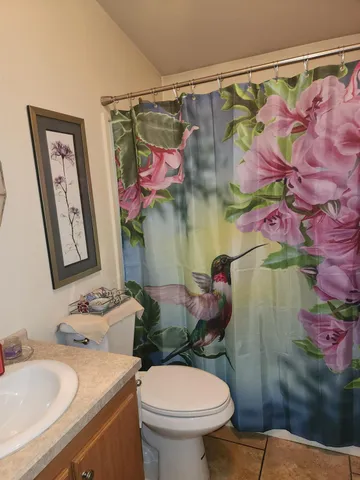 a bathroom with a sink mirror vanity and toilet