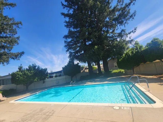 a view of backyard with tree