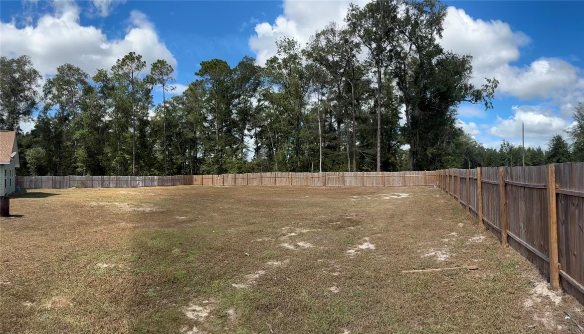 181 Ham Road Nahunta, GA 31553 - Photo 6 of 18