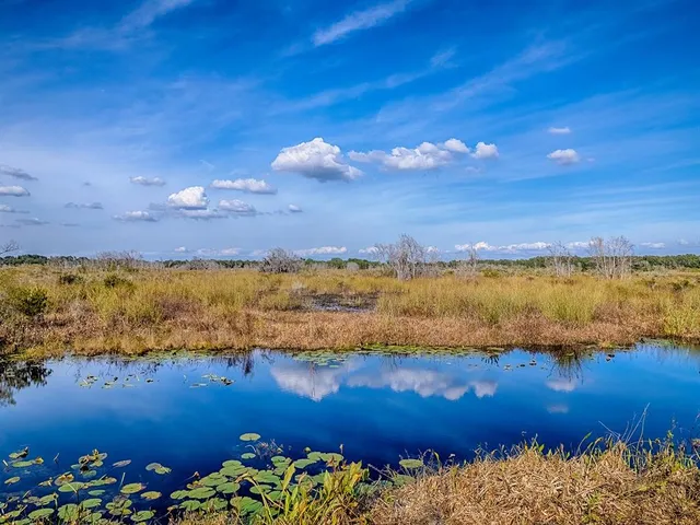 $949,900 | 417 Blue Cypress Drive, Groveland, FL 34736