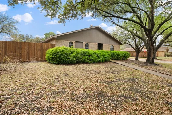 a backyard of a house with plants and large tree