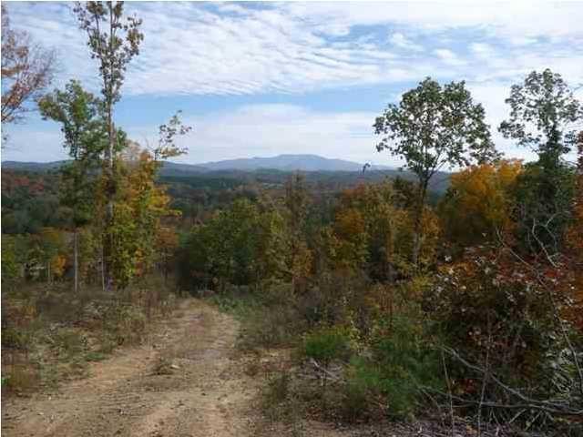169 Bob White Road Ocoee, TN 37361 - Photo 13 of 20 Gallery Image 13
