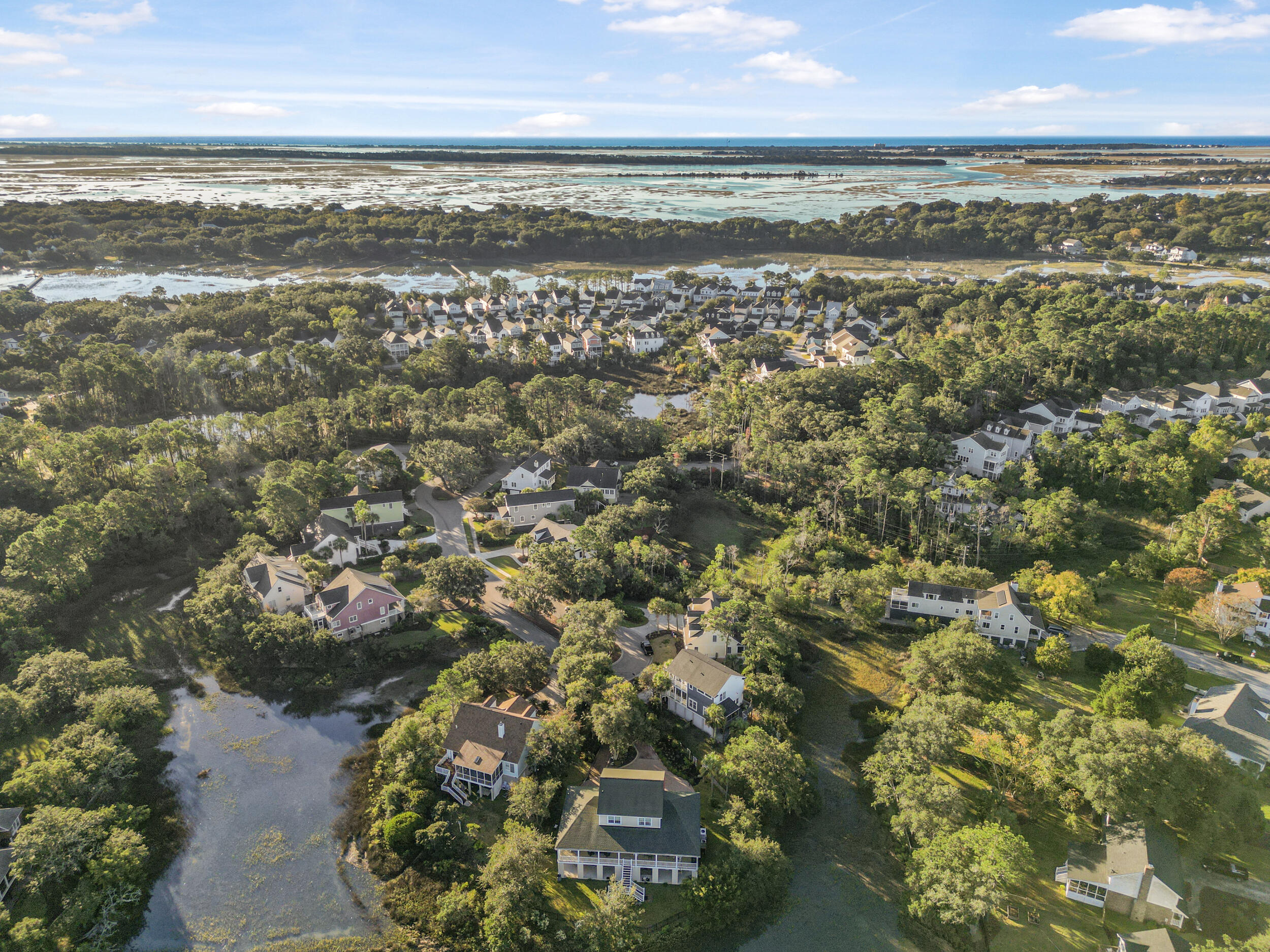 100 Oak Turn Road Charleston, SC 29412 - Photo 58 of 71 dji_0573