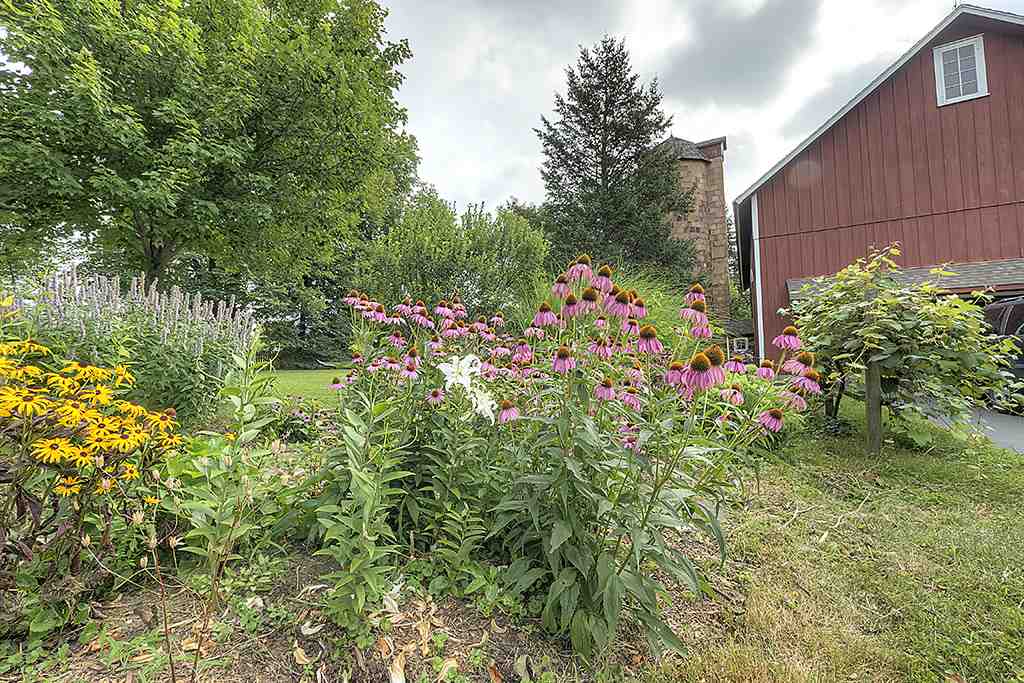 8395 Spring Brook Road Rockford, IL 61114 - Photo 24 of 24 a view of a garden with plants