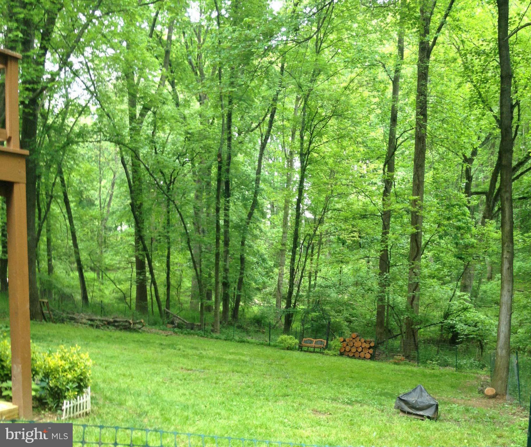 9505 Stewartown Road Gaithersburg, MD 20879 - Photo 30 of 30 The property back to wooded acreage & stream