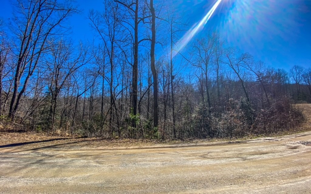 60 Staurolite Mountain Blue Ridge, GA 30513 - Photo 1 of 1 Main View