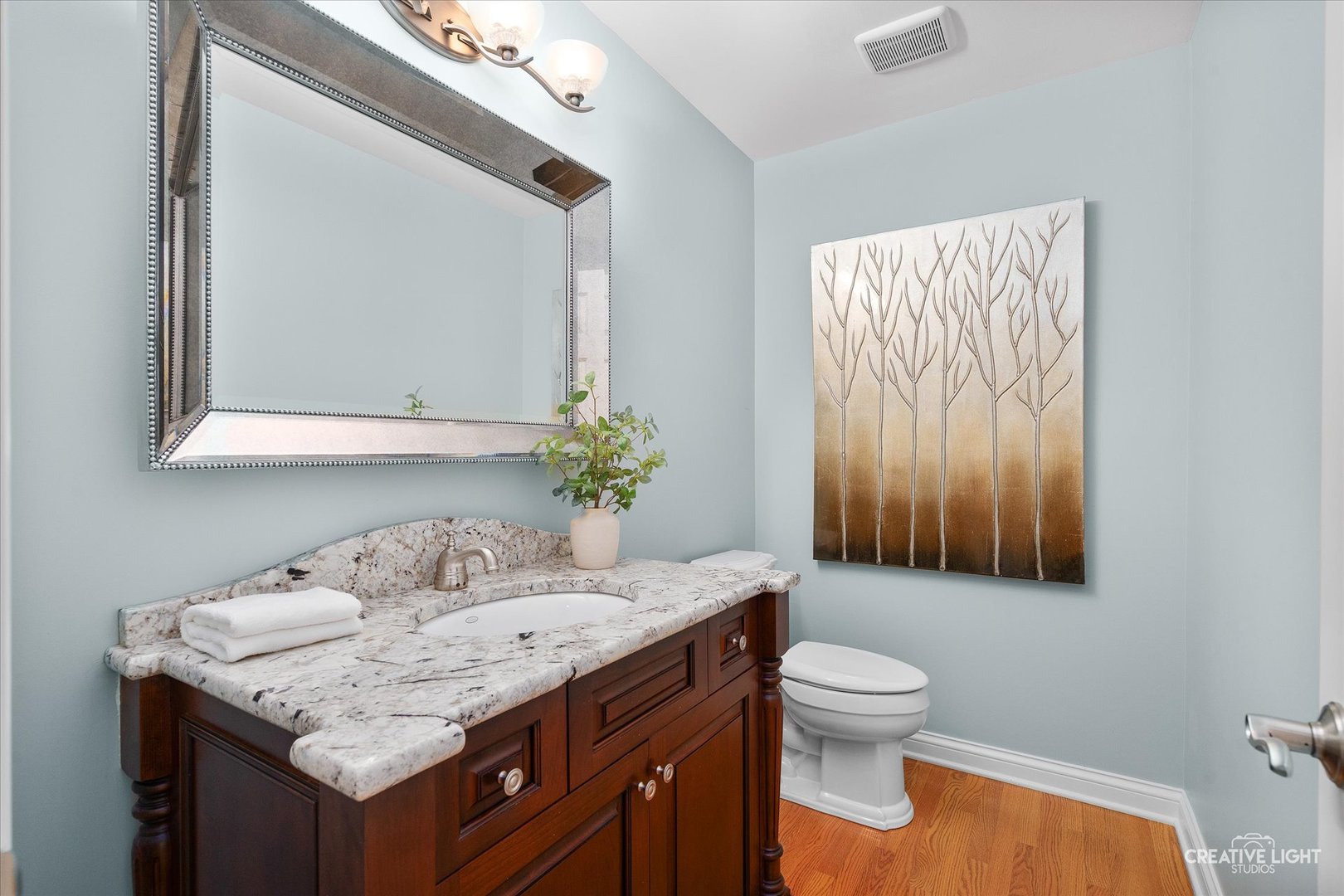 1454 Rill Court Naperville, IL 60565 - Photo 23 of 58 a bathroom with a granite countertop sink and a mirror with toilet