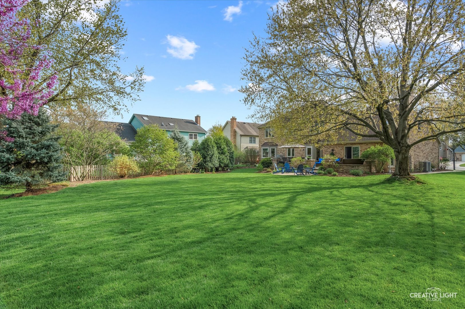 1454 Rill Court Naperville, IL 60565 - Photo 48 of 58 a view of a big yard with plants and large trees
