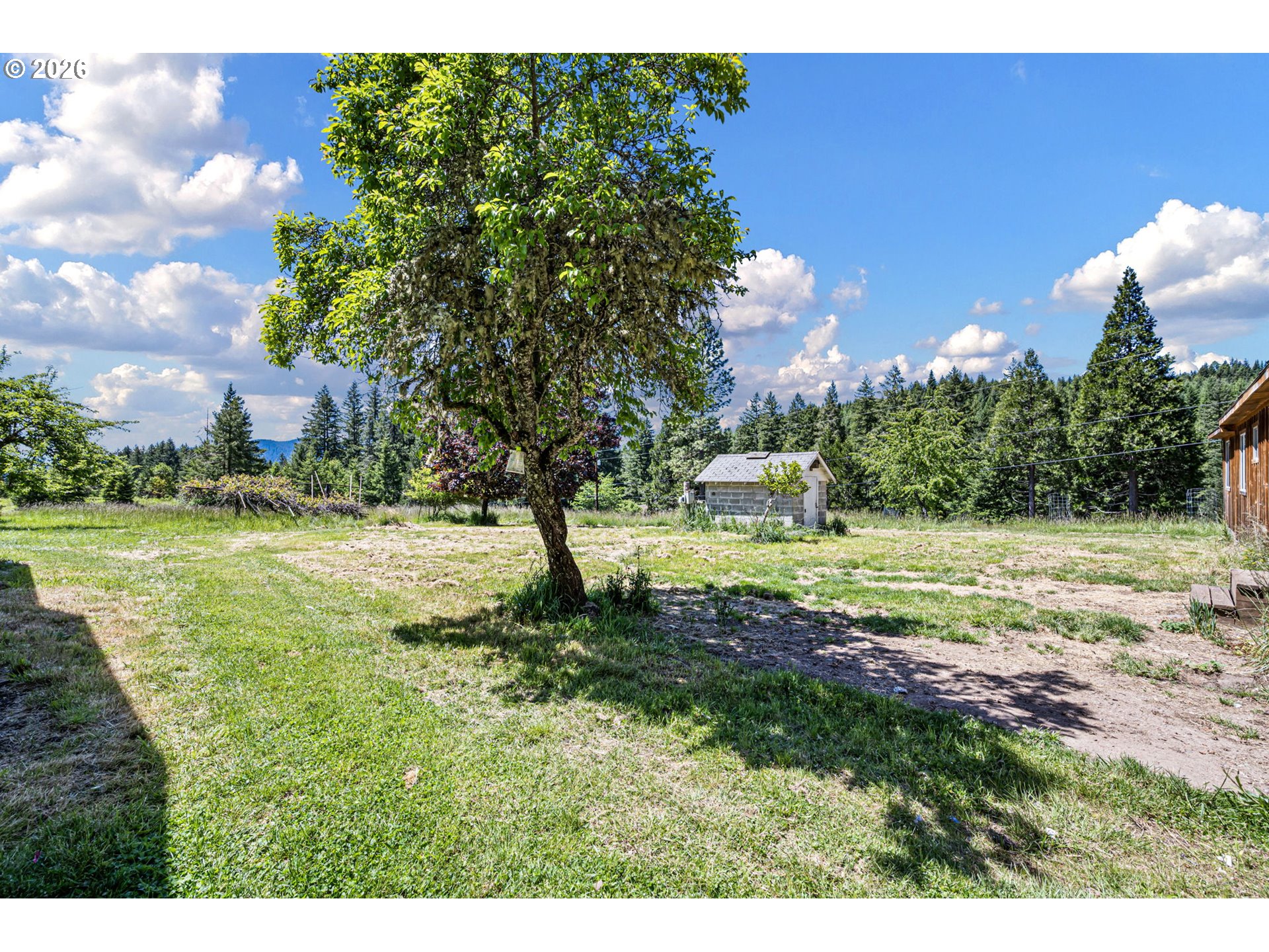 77521 Brock Road Oakridge, OR 97463 - Photo 47 of 48 a view of a yard with swimming pool
