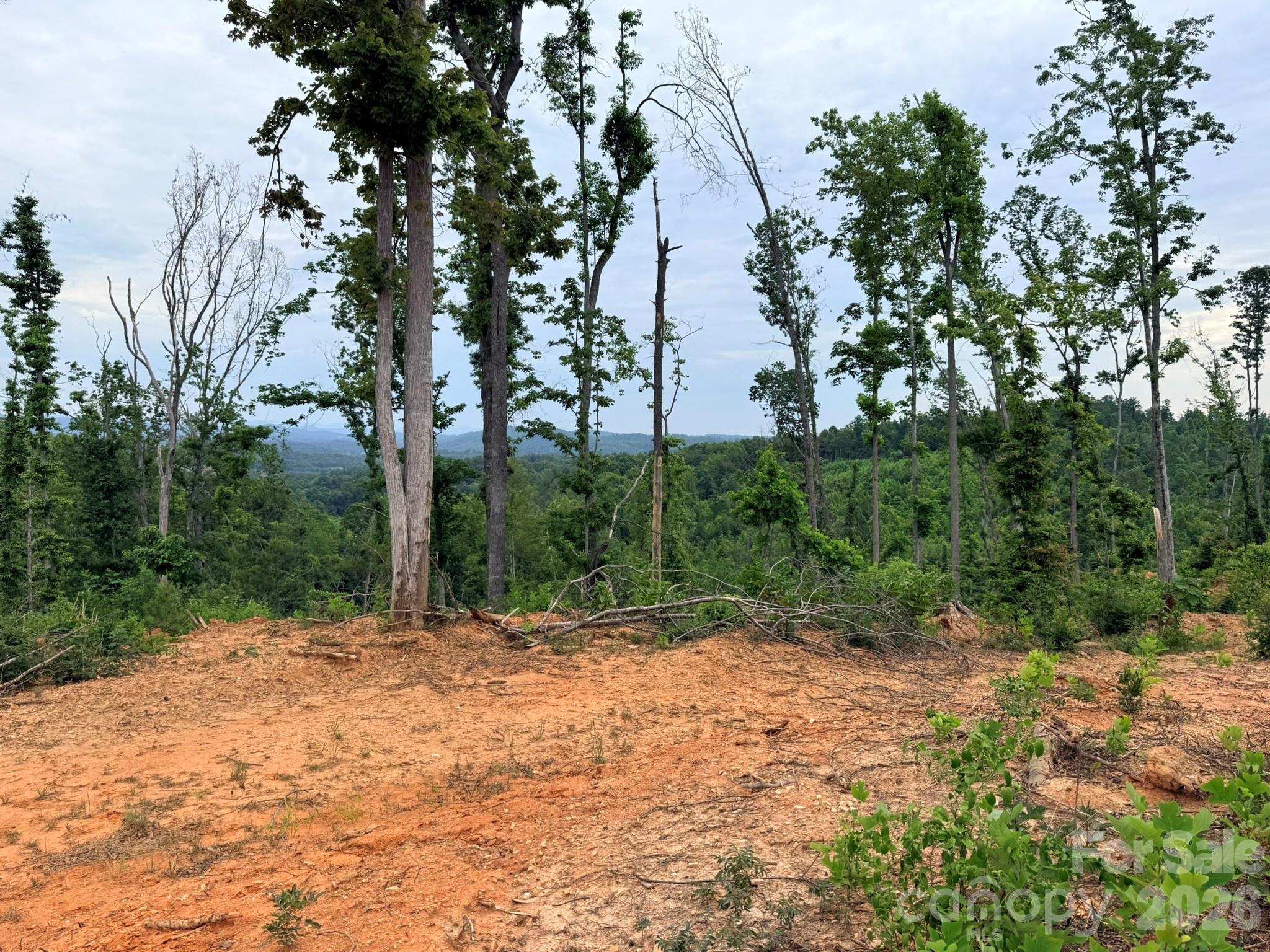 Tbd North Marley Ford Road Ferguson, NC 28624 - Photo 20 of 26