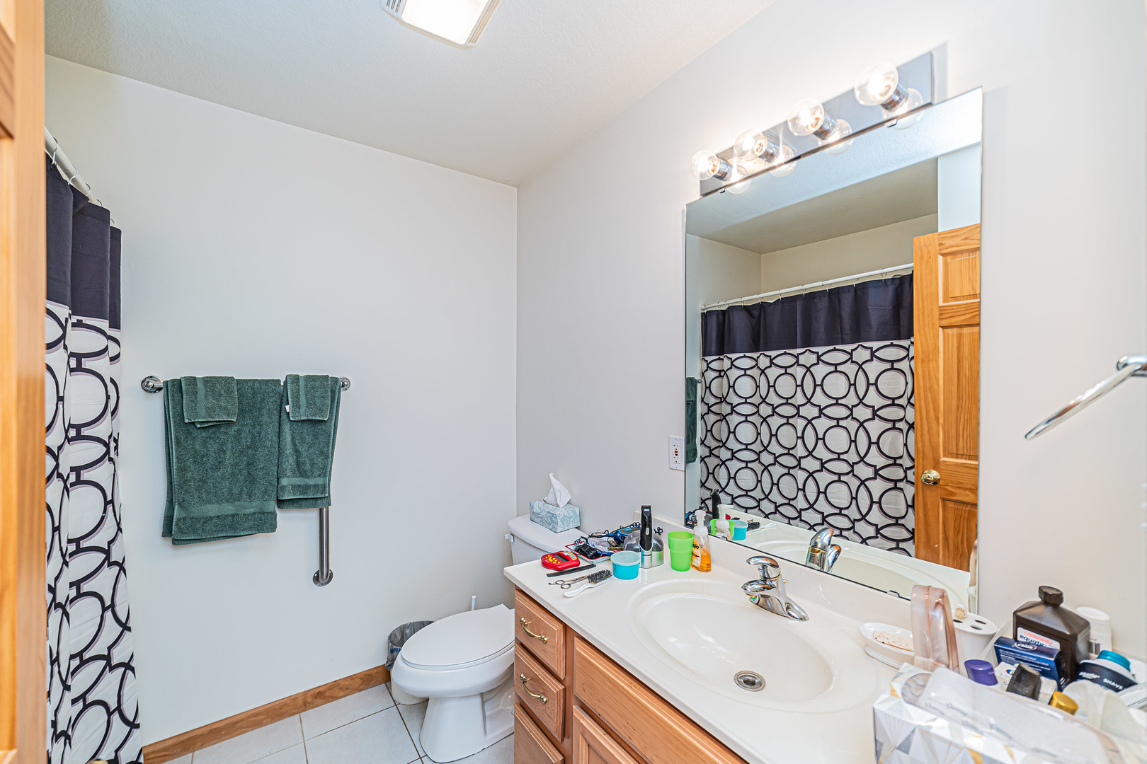 2113 Grand Detour Road Dixon, IL 61021 - Photo 15 of 35 a bathroom with a sink mirror and toilet