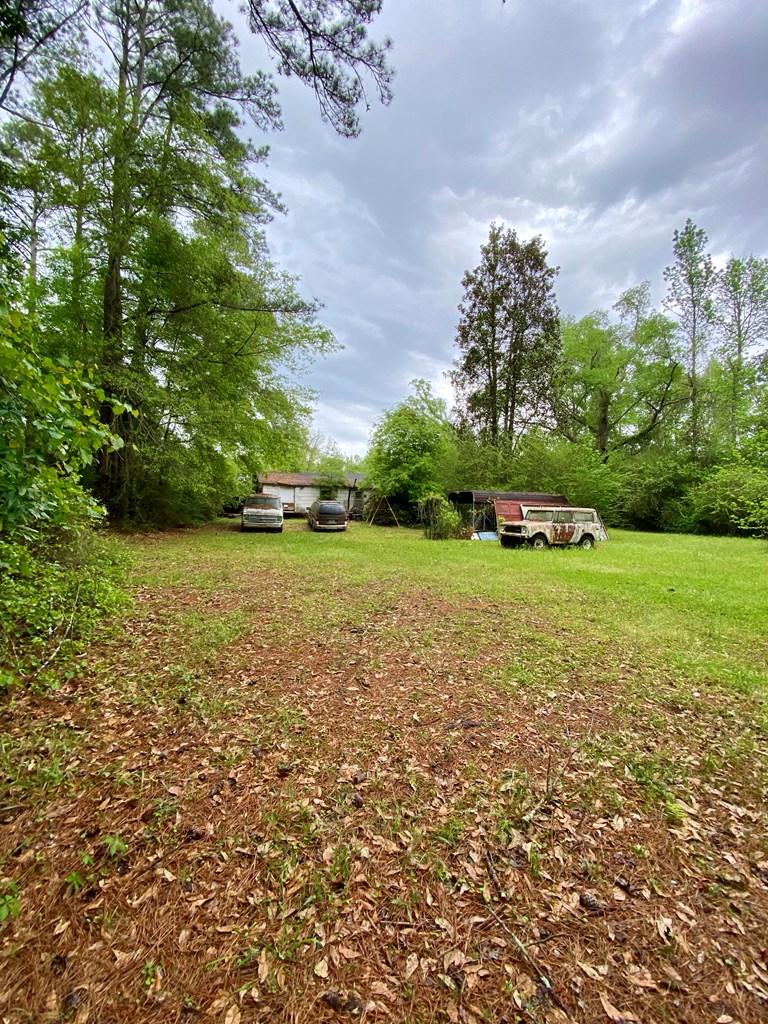 1336 Skipperville Road Ozark, AL 36360 - Photo 9 of 11