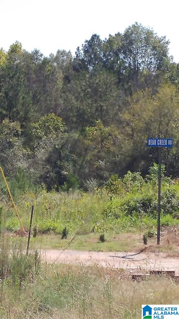 0 New Liberty Road, Unit 4 99 Jacksonville, AL 36265 - Photo 2 of 3