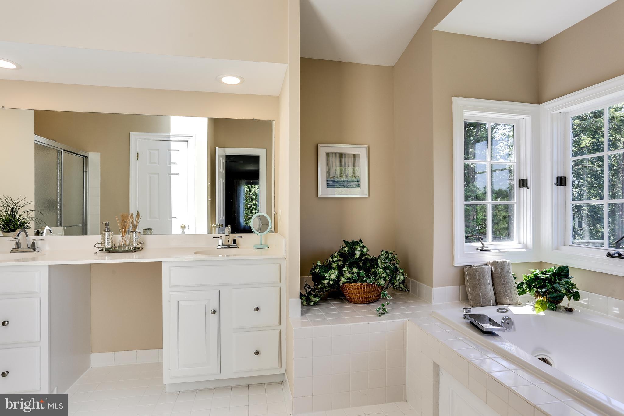 8394 Autumn Rust Road Ellicott City, MD 21043 - Photo 20 of 30 Master bath with corner windows for beautiful view