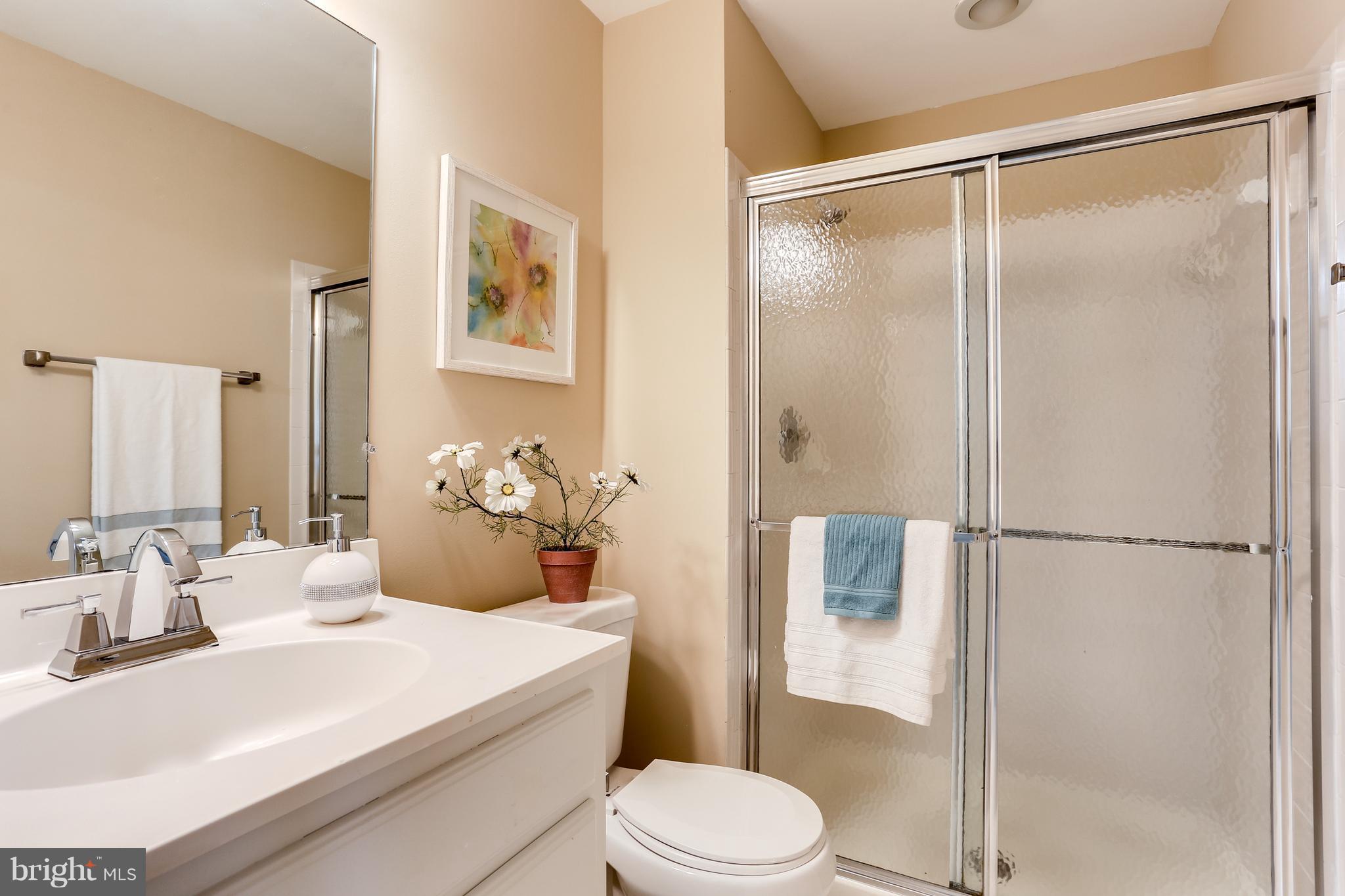 8394 Autumn Rust Road Ellicott City, MD 21043 - Photo 29 of 30 4th full bath in lower level