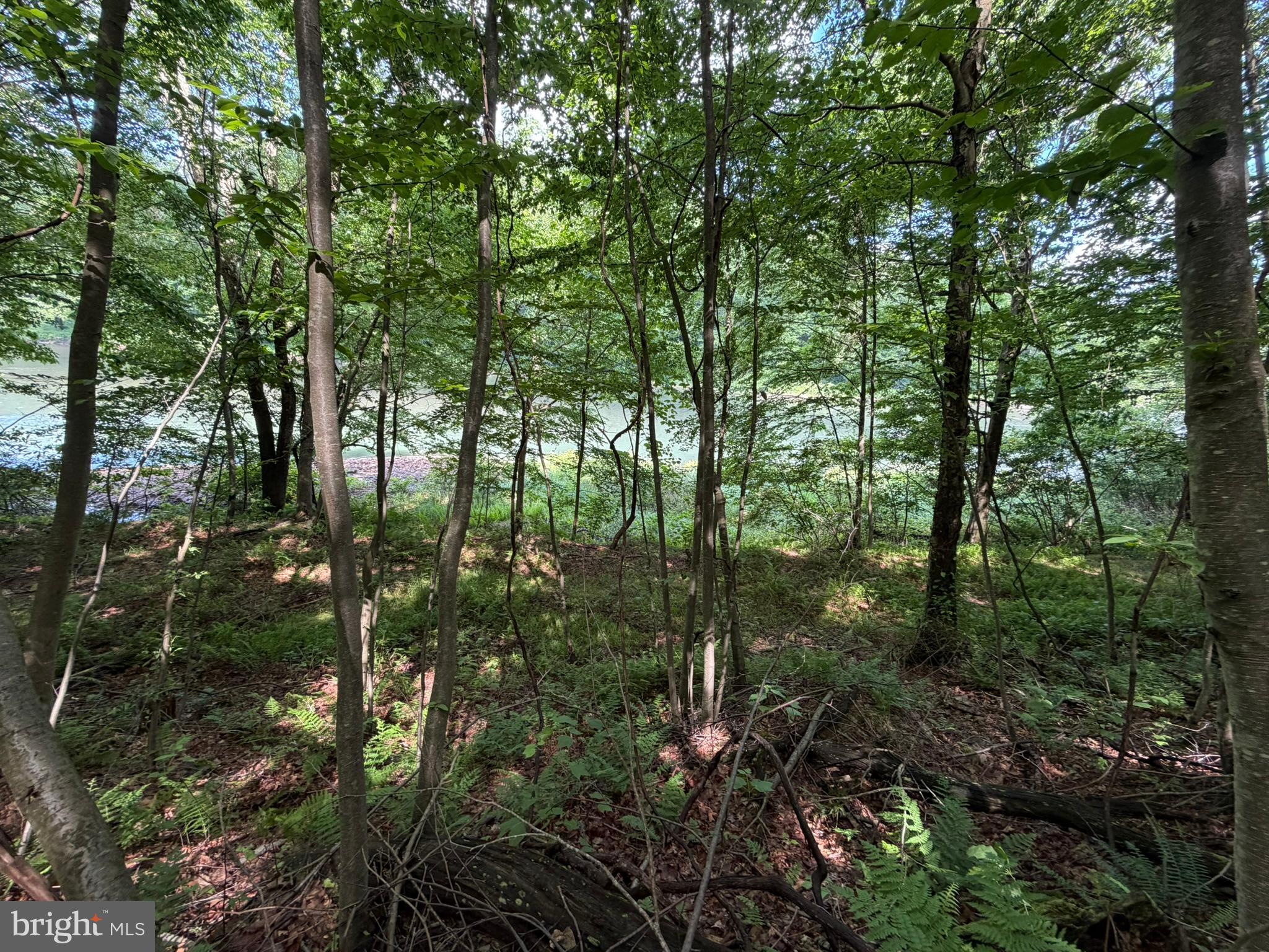 848 Sugar Camp Road Clearfield, PA 16830 - Photo 110 of 118
