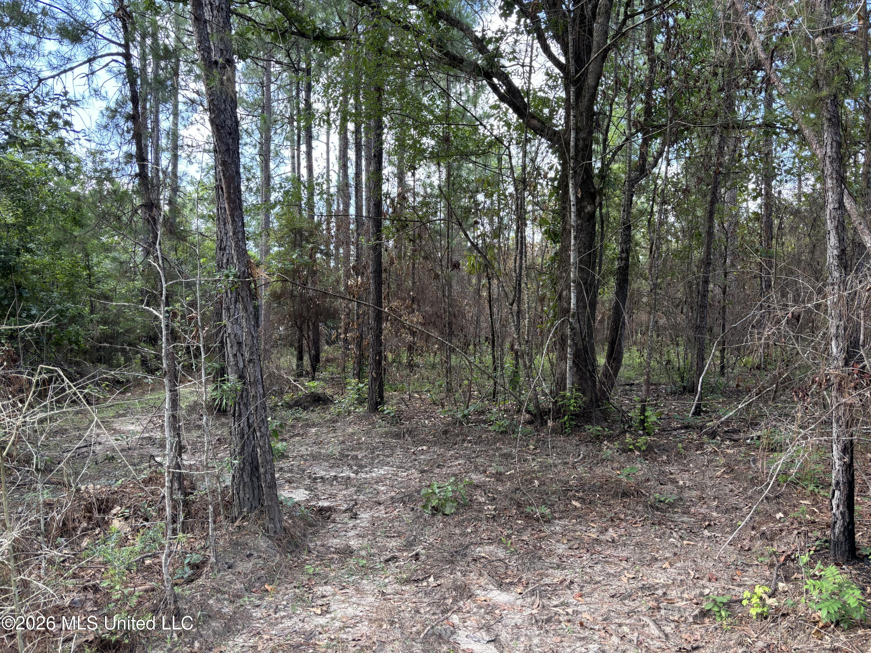 202 Smith Road Lumberton, MS 39455 - Photo 23 of 32 IMG_2962