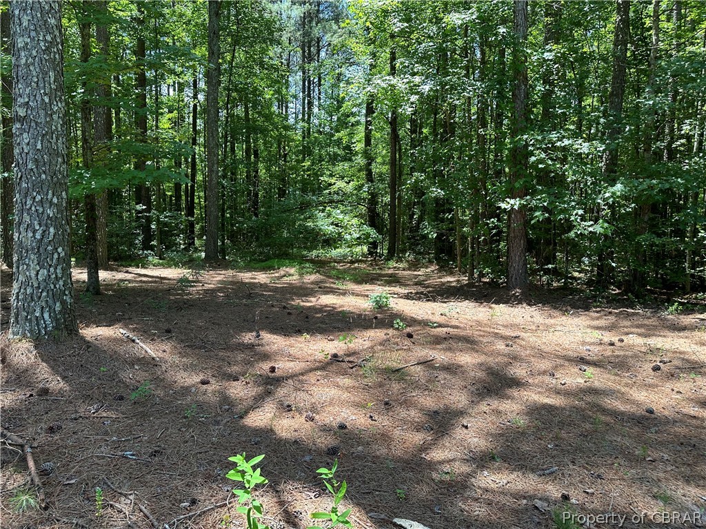 4662 Carsley Road Waverly, VA 23890 - Photo 12 of 24