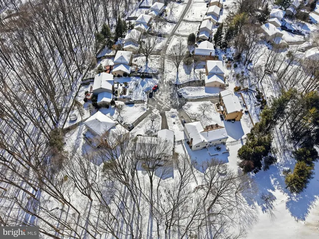 a city view with tall trees