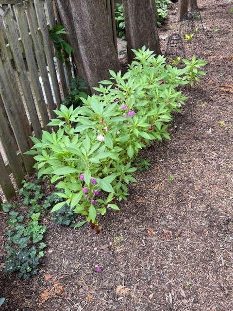 425 South Quincy Street Hinsdale, IL 60521 - Photo 50 of 53