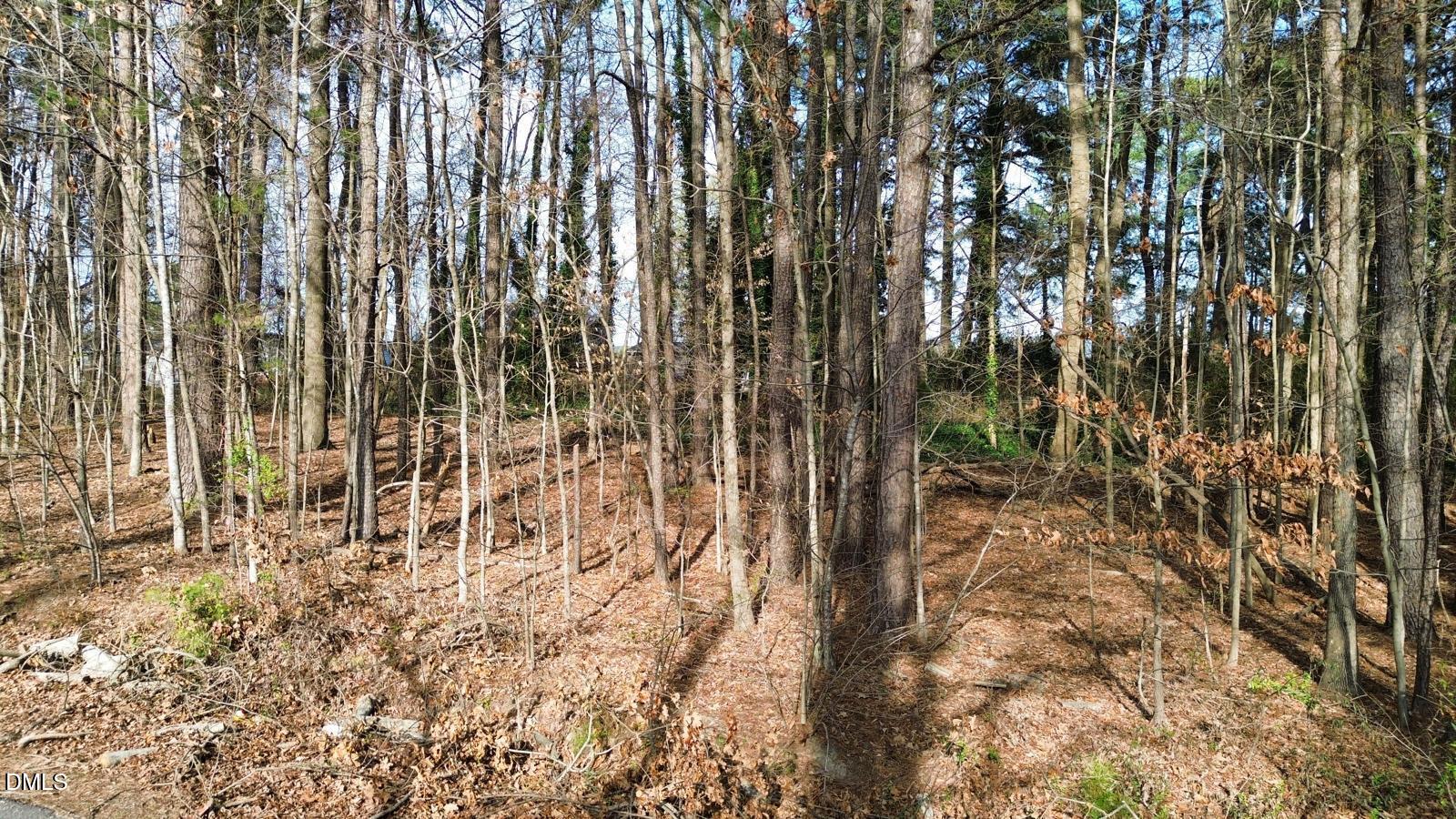 7608 Valview Street Raleigh, NC 27613 - Photo 3 of 4 PHOTO-2026-03-14-19-46-17 5