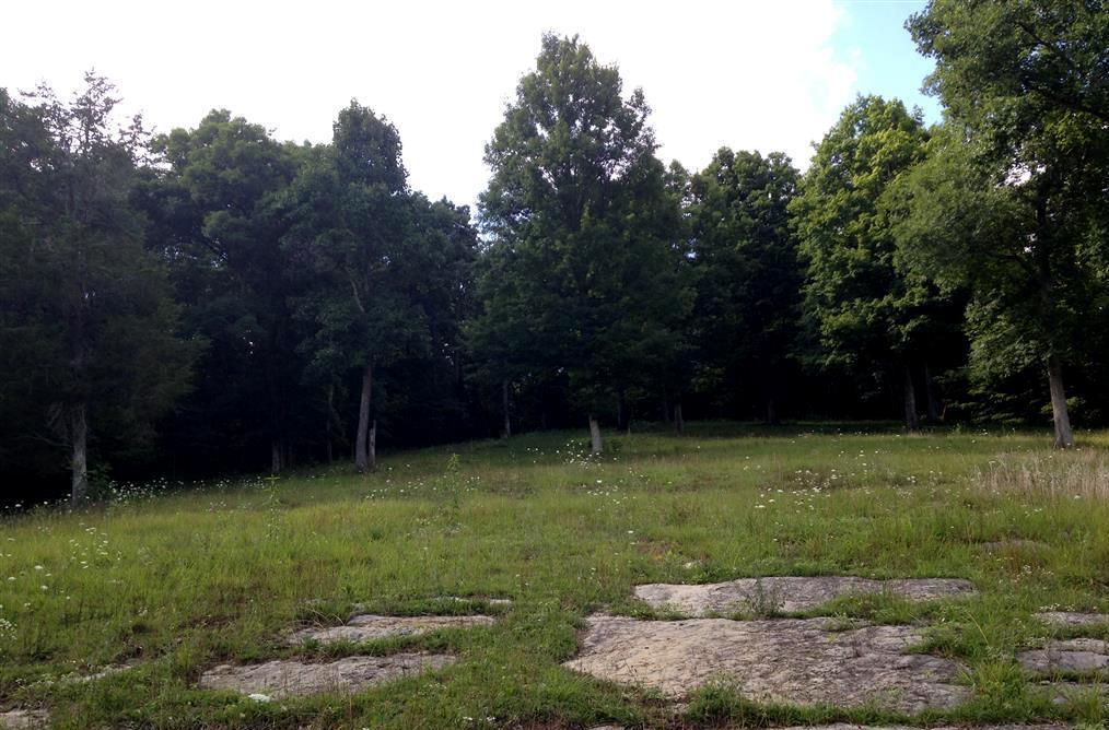 9-acres Prospect Road Sneedville, TN 37869 - Photo 3 of 16 IMG_6530