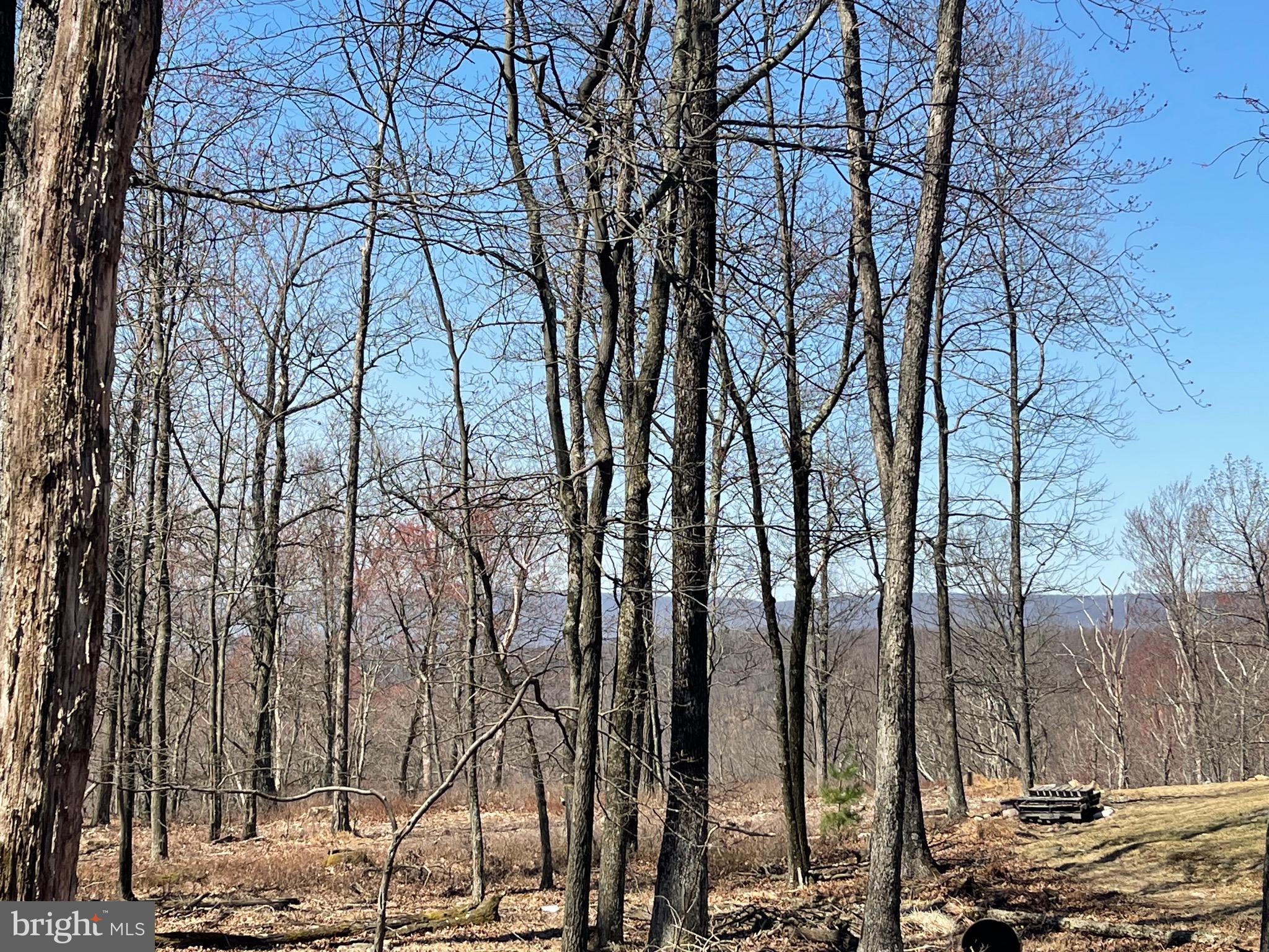 2 Princess Drive Zion Grove, PA 17985 - Photo 2 of 20 a view of a yard with trees