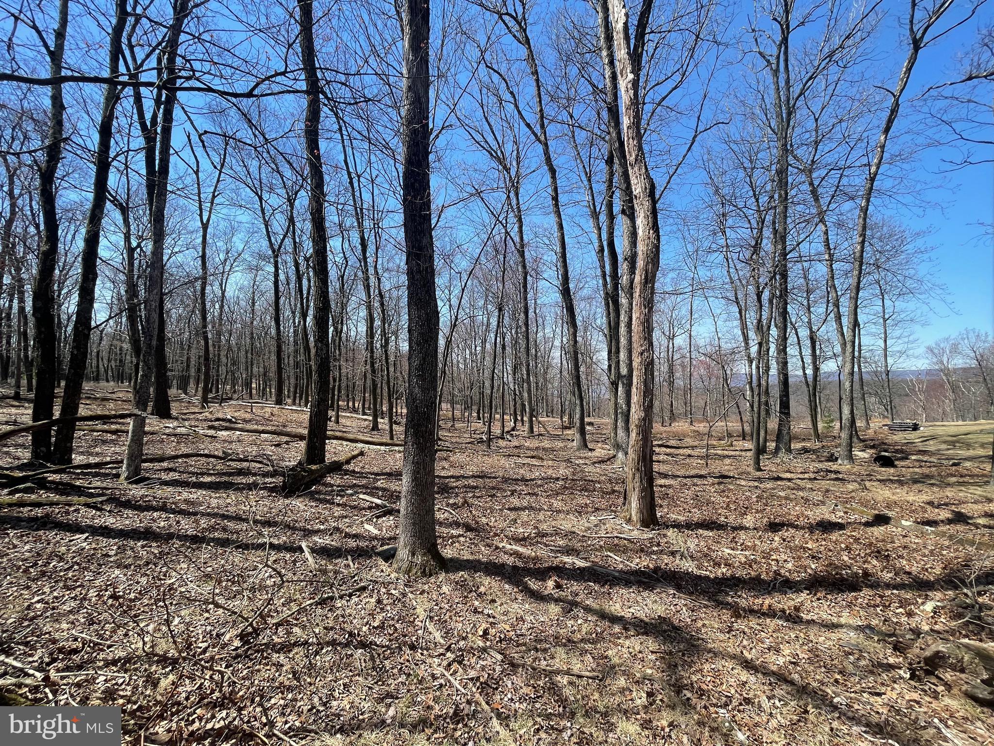 2 Princess Drive Zion Grove, PA 17985 - Photo 3 of 20 a backyard of a house with lots of green space