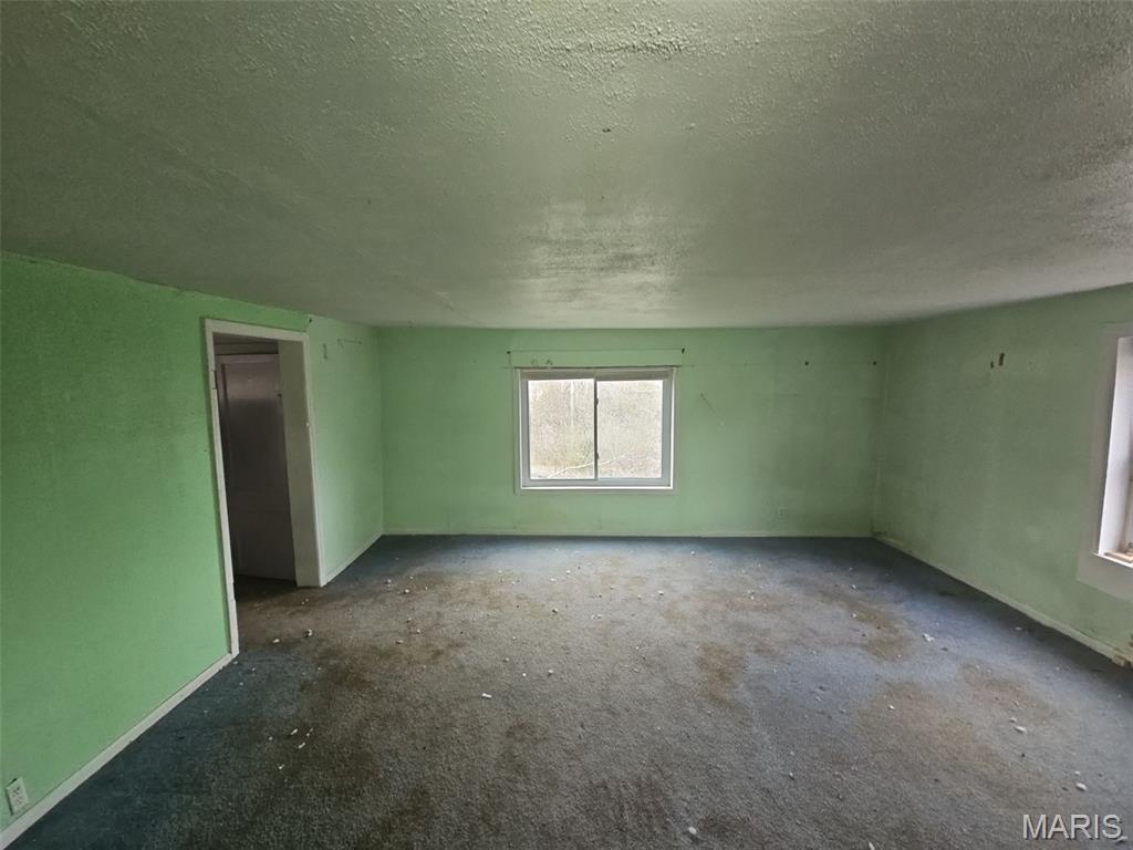 10270 State Rd Bb Hillsboro, MO 63050 - Photo 10 of 13