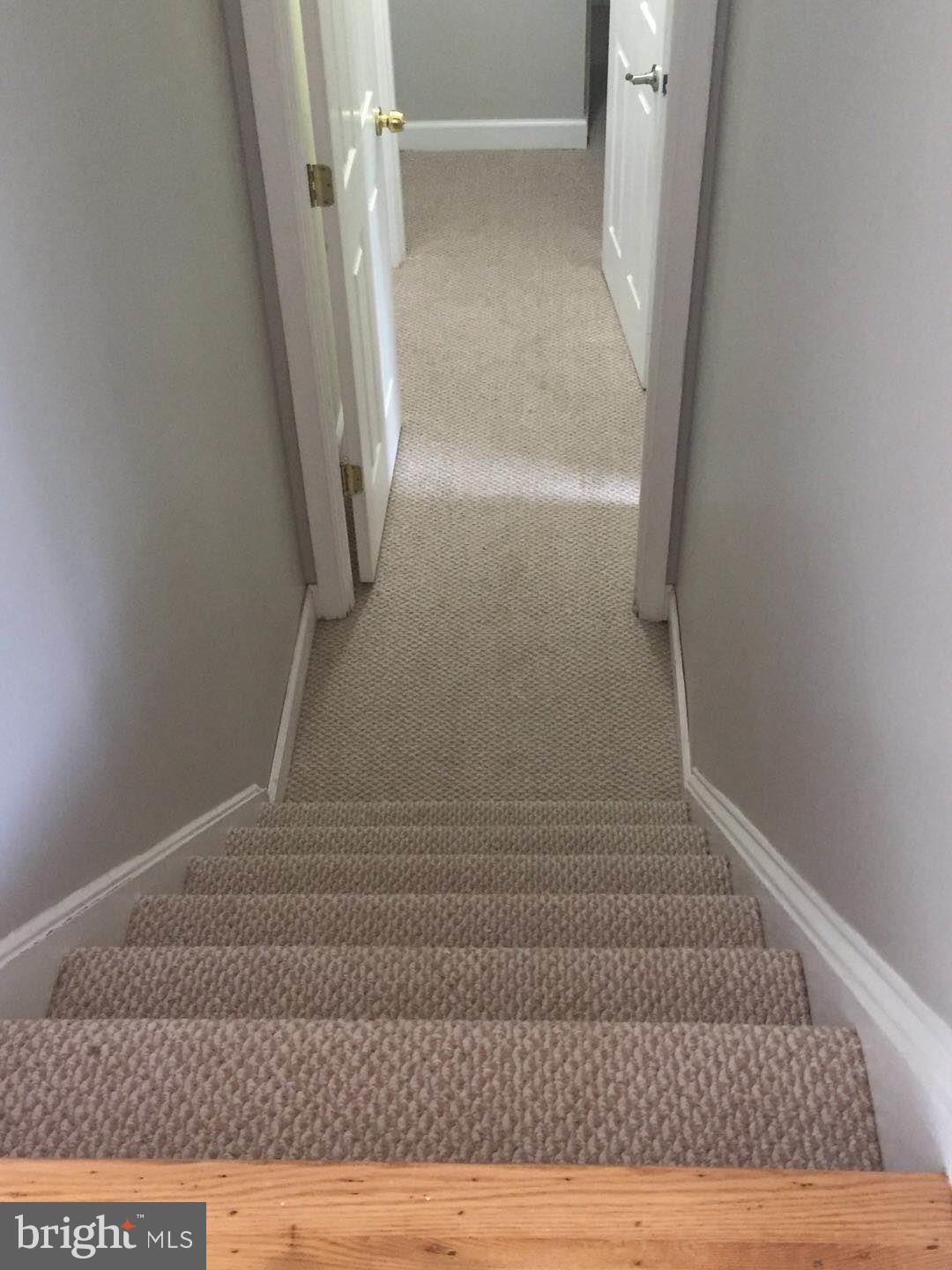 4118 Conger Street Silver Spring, MD 20906 - Photo 21 of 29 stairs to basement