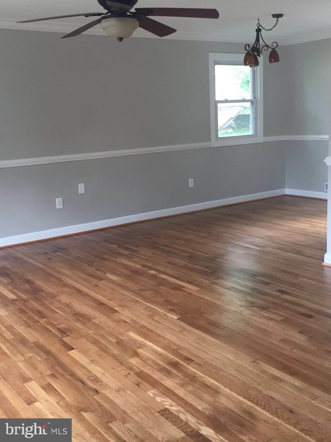 4118 Conger Street Silver Spring, MD 20906 - Photo 10 of 29 family room