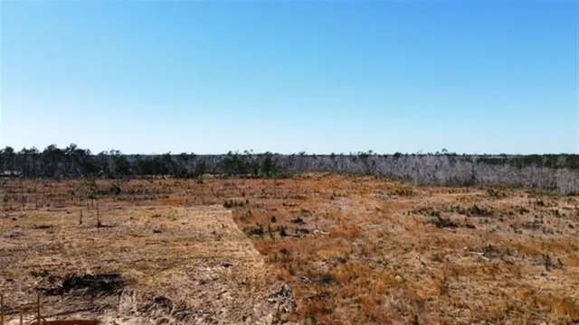 $44,990 | 0 Alston Cemetery Road, Dequincy, LA 70633