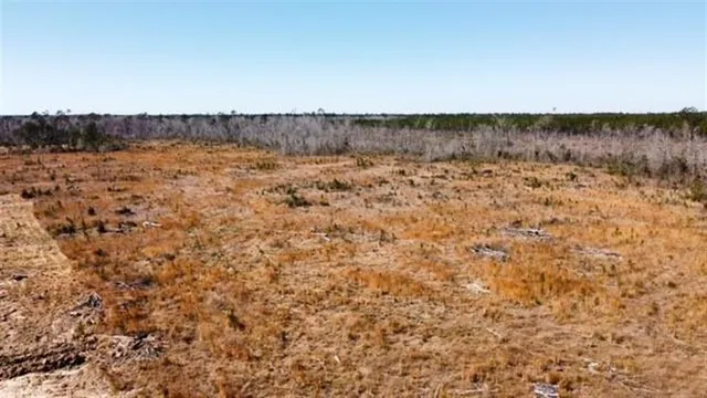 $44,990 | 0 Alston Cemetery Road, Dequincy, LA 70633