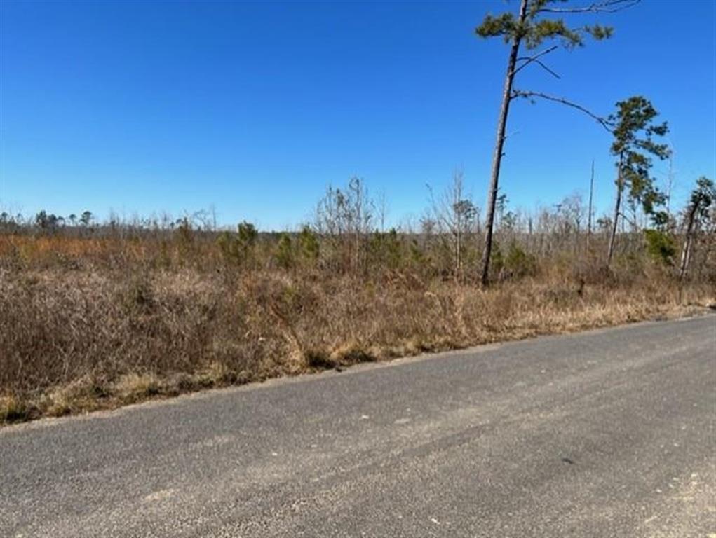 0 Alston Cemetery Road Dequincy, LA 70633 - Photo 8 of 9