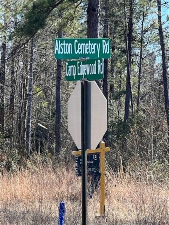 0 Alston Cemetery Road Dequincy, LA 70633 - Photo 9 of 9