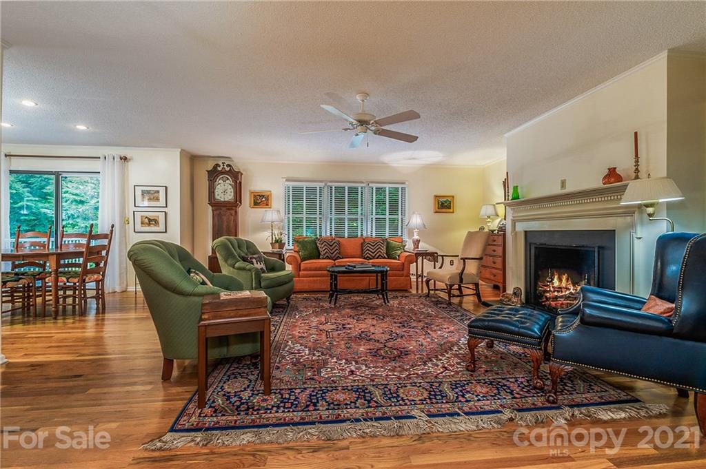77 Chestnut Street, Unit 402 Tryon, NC 28782 - Photo 3 of 35 a living room with furniture a rug and a fireplace