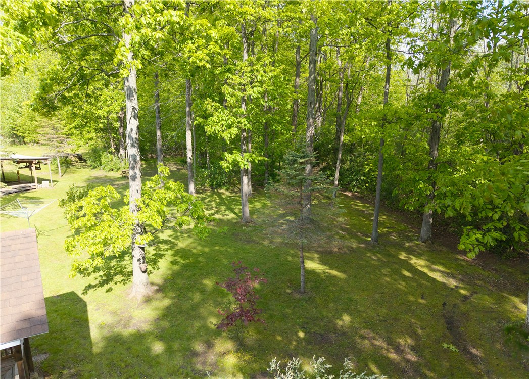 6731 Stagecoach Road Conesus, NY 14435 - Photo 49 of 50