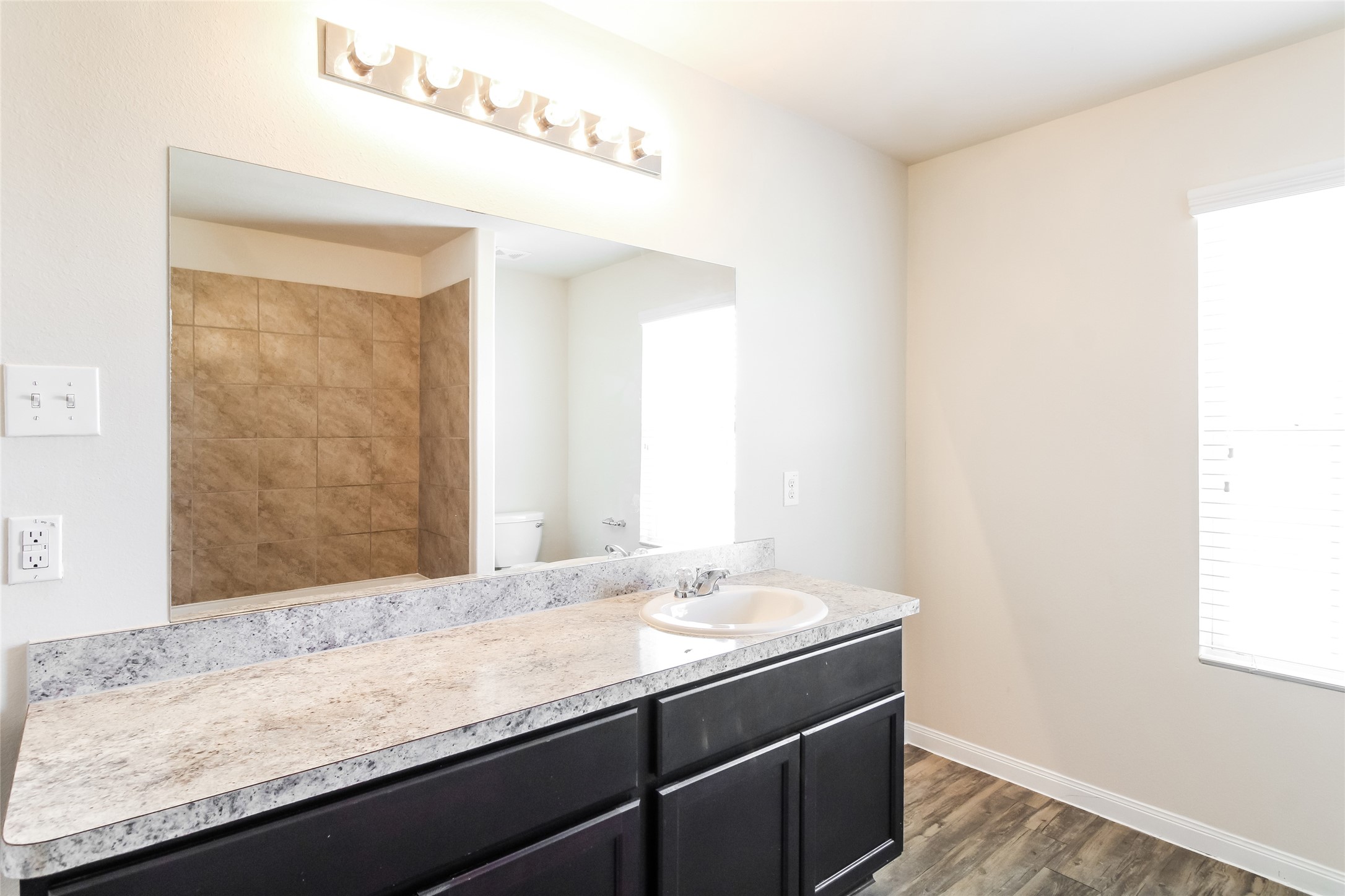 12423 Early Morning Drive Houston, TX 77048 - Photo 10 of 14 a bathroom with a granite countertop sink and a mirror