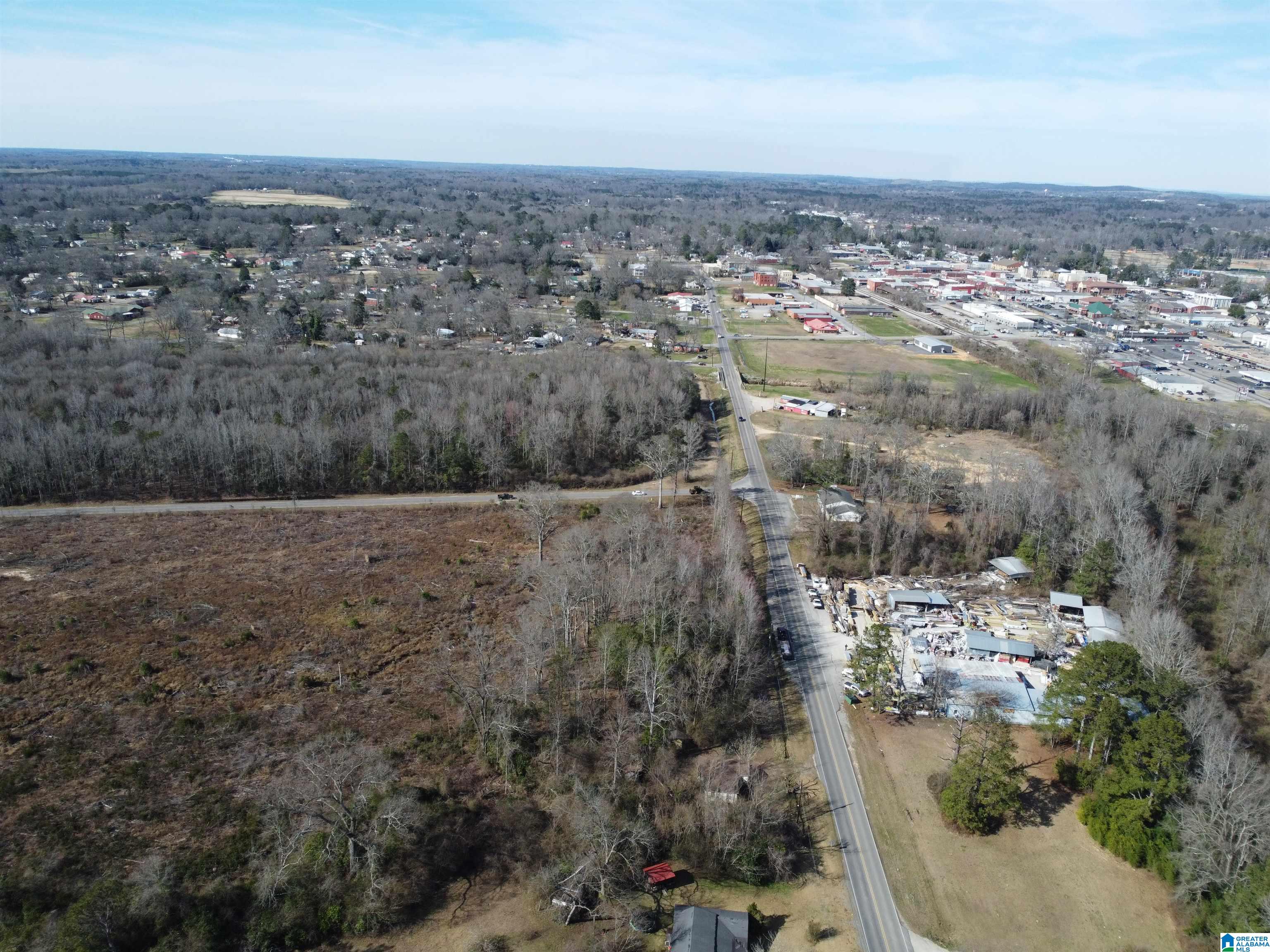 0 Kincheon Road Clanton, AL 35045 - Photo 16 of 45