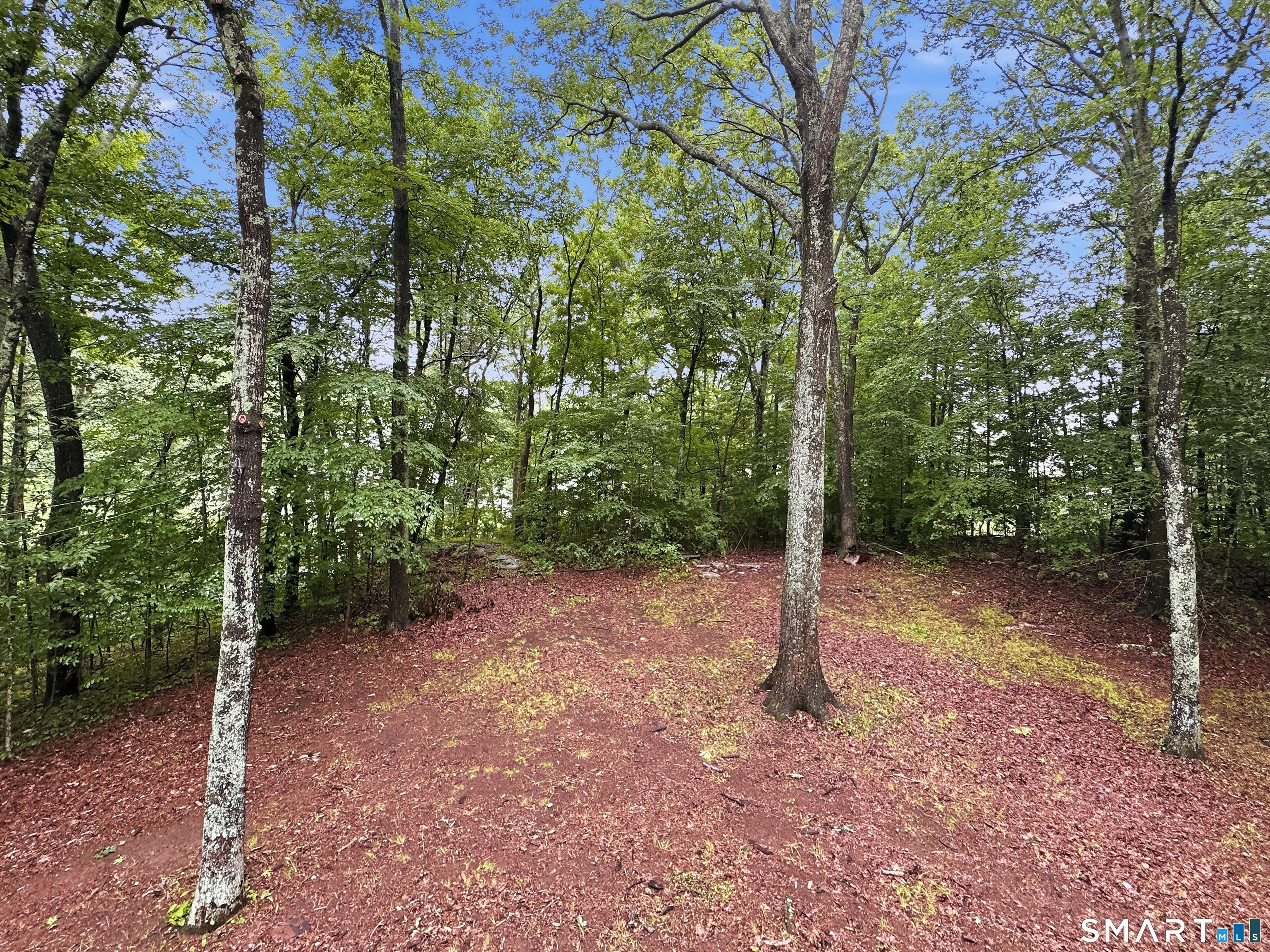 74 Ryan Terrace Lebanon, CT 06249 - Photo 24 of 24