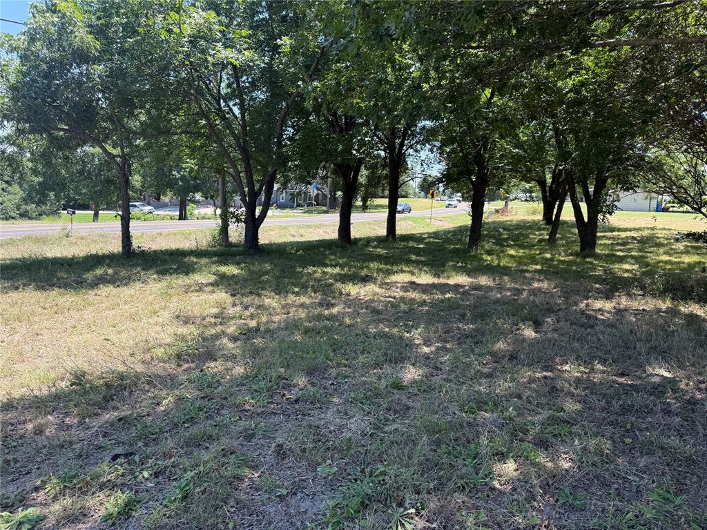 560 West New Hope Road West New Hope, TX 75071 - Photo 3 of 7 Mature trees providing natural shade over a grassy area
