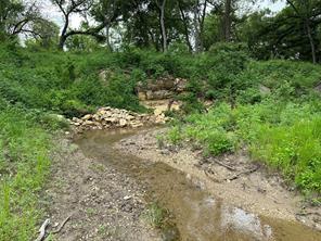a view of a yard with plants and tree