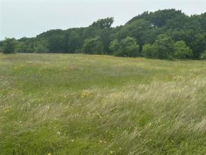 Lot 3 Ranchside Court Itasca, TX 76055 - Photo 11 of 22 a view of outdoor space and yard