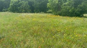 Lot 3 Ranchside Court Itasca, TX 76055 - Photo 12 of 22 a view of a yard