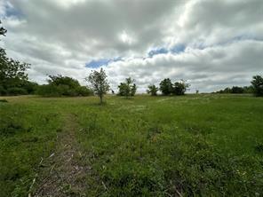 Lot 3 Ranchside Court Itasca, TX 76055 - Photo 17 of 22 a view of a big yard with a large trees and a big yard