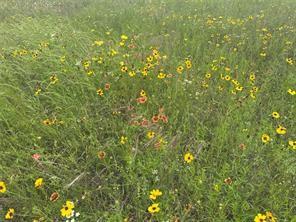 Lot 3 Ranchside Court Itasca, TX 76055 - Photo 18 of 22 a view of a tree