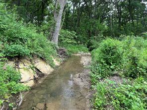 Lot 3 Ranchside Court Itasca, TX 76055 - Photo 3 of 22 a view of a yard with plants and a large tree